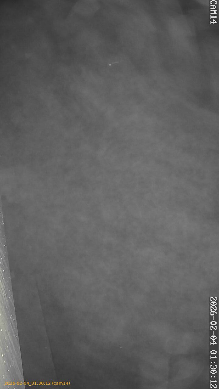 thumbnail_20260204013012