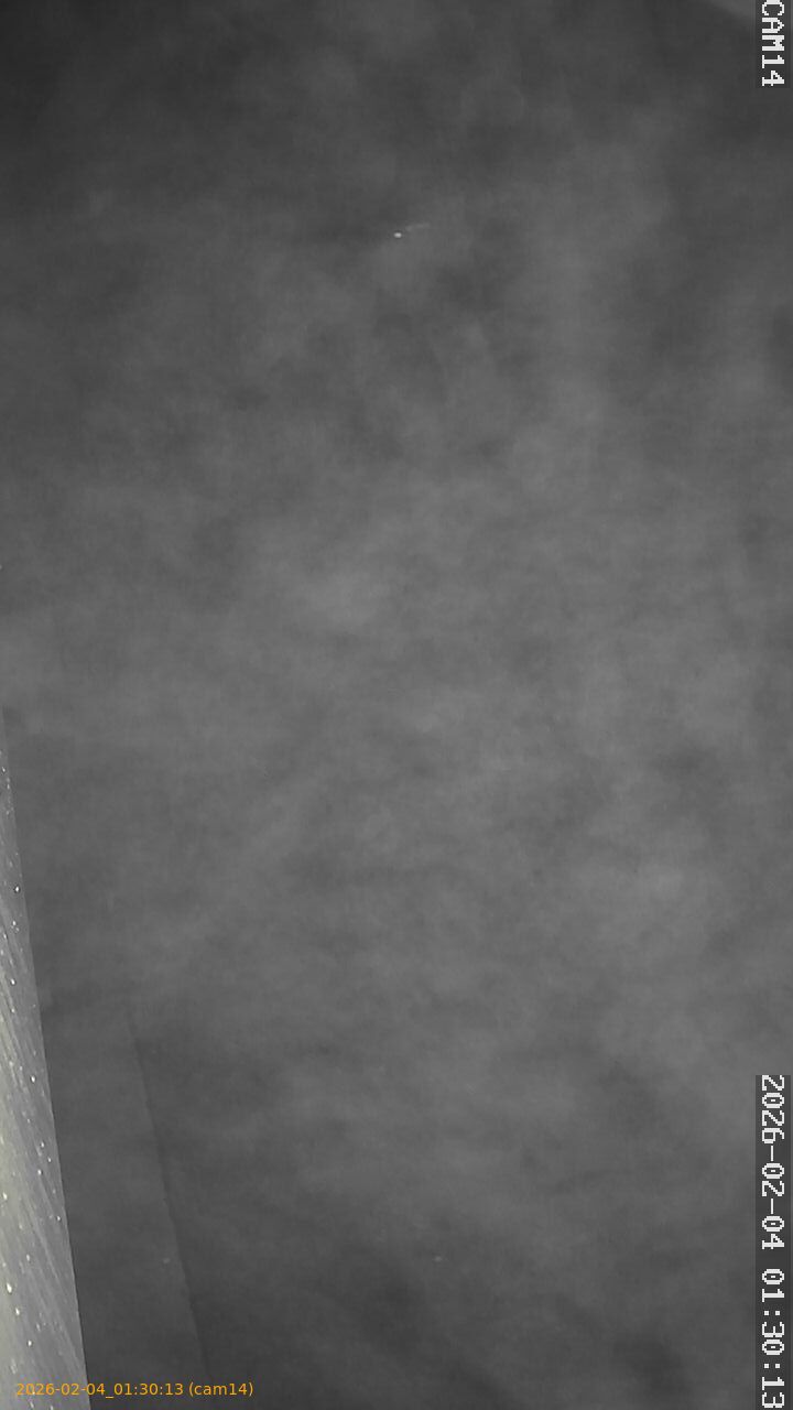 thumbnail_20260204013013