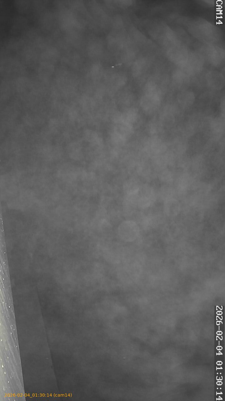 thumbnail_20260204013014