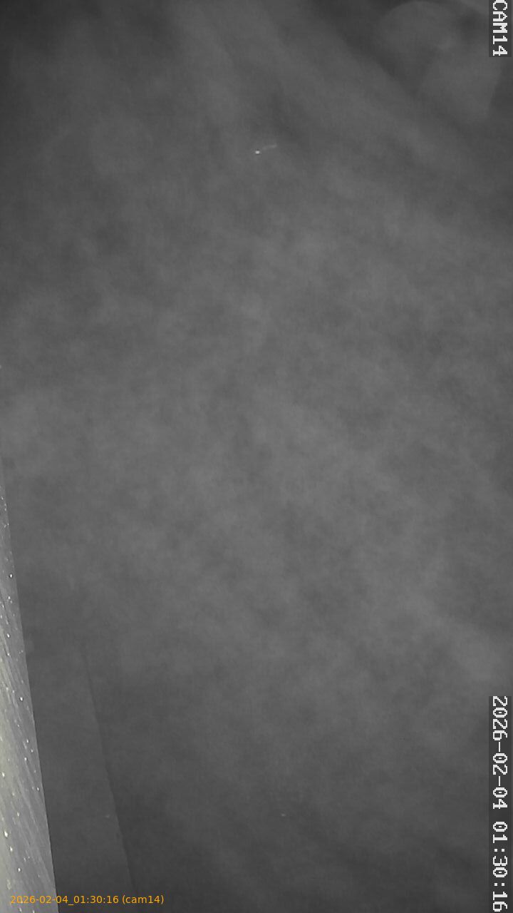 thumbnail_20260204013016