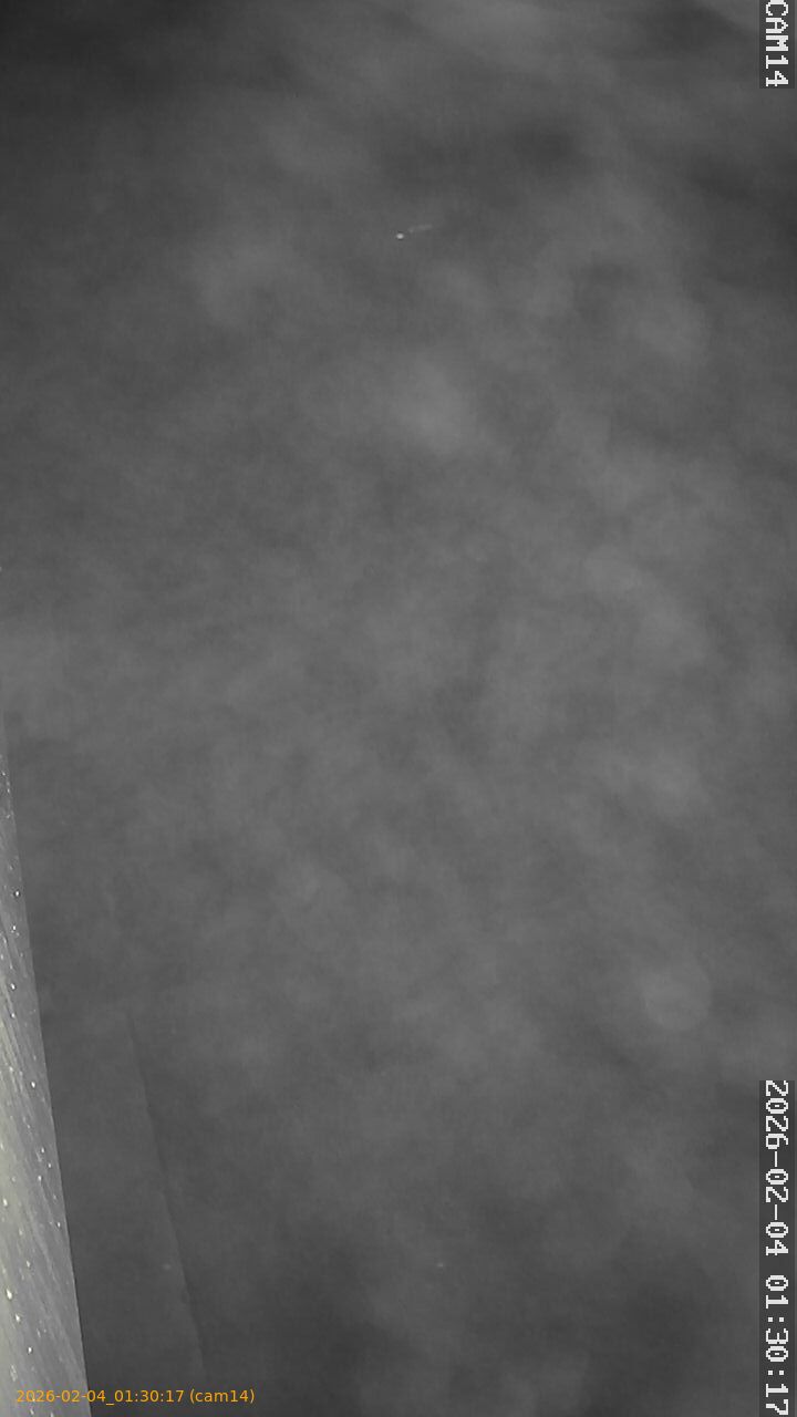 thumbnail_20260204013017