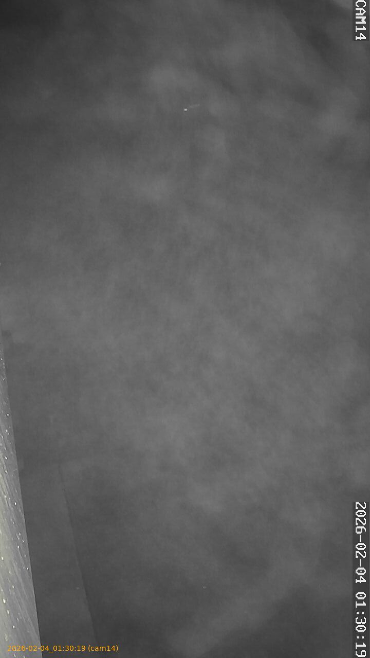 thumbnail_20260204013019