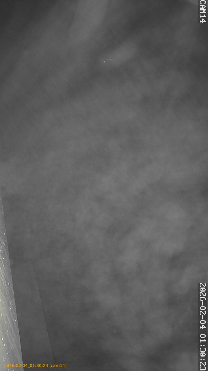 thumbnail_20260204013024