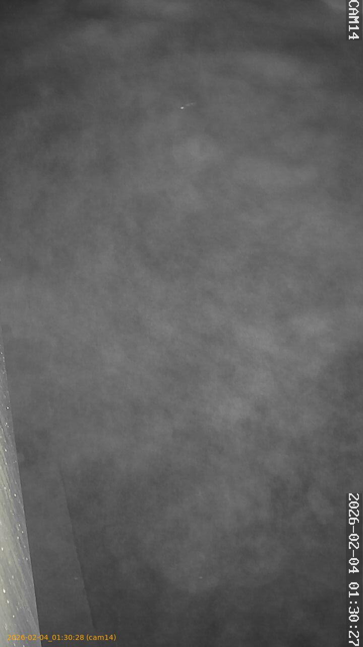 thumbnail_20260204013028