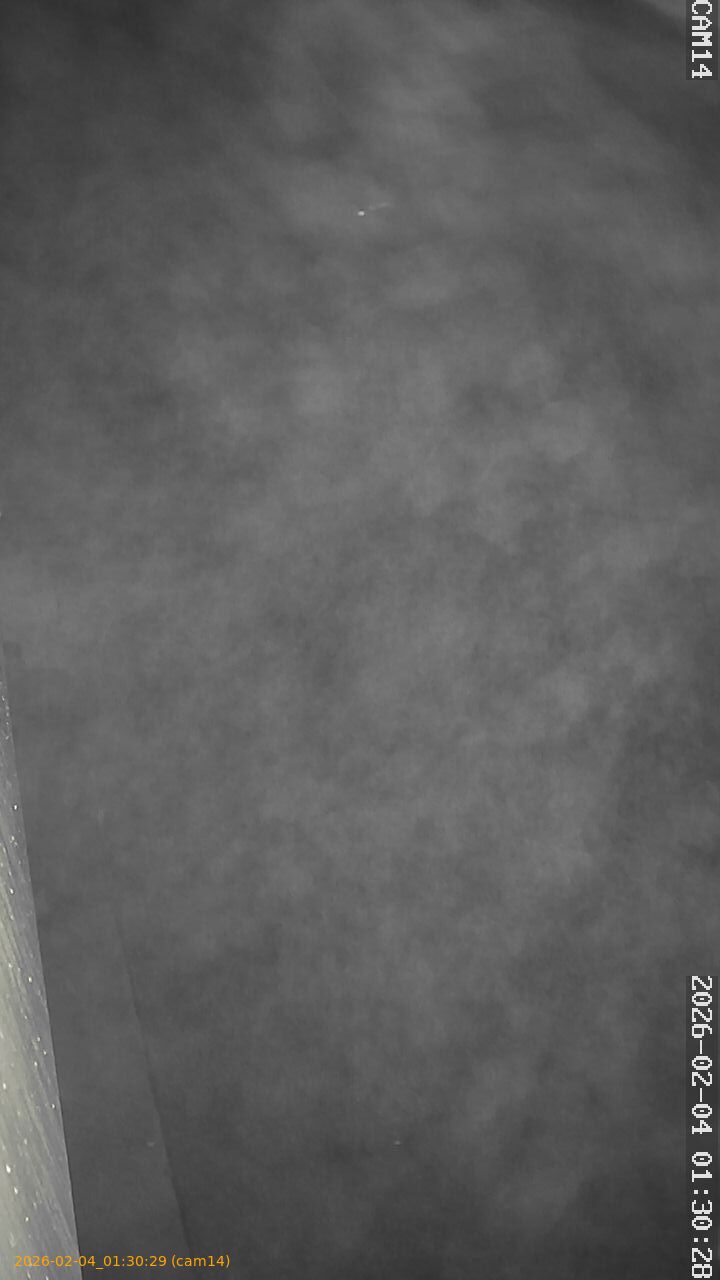 thumbnail_20260204013029