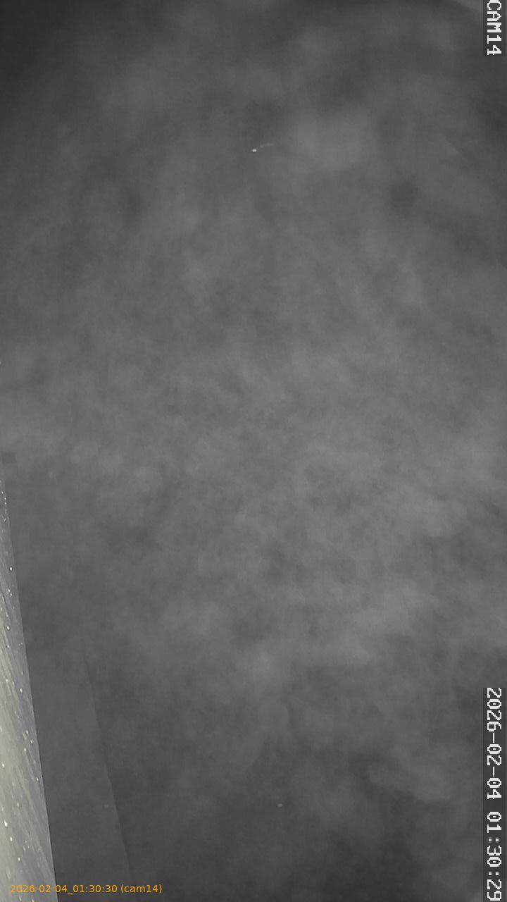 thumbnail_20260204013030