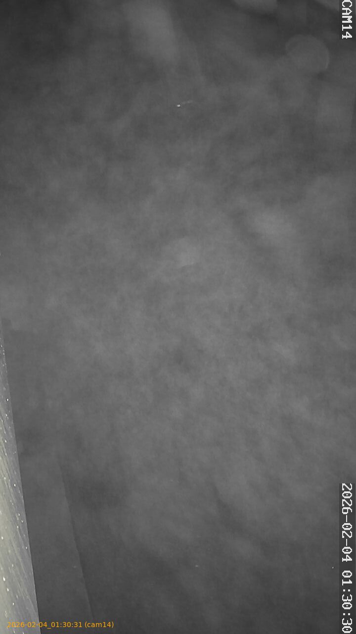 thumbnail_20260204013031