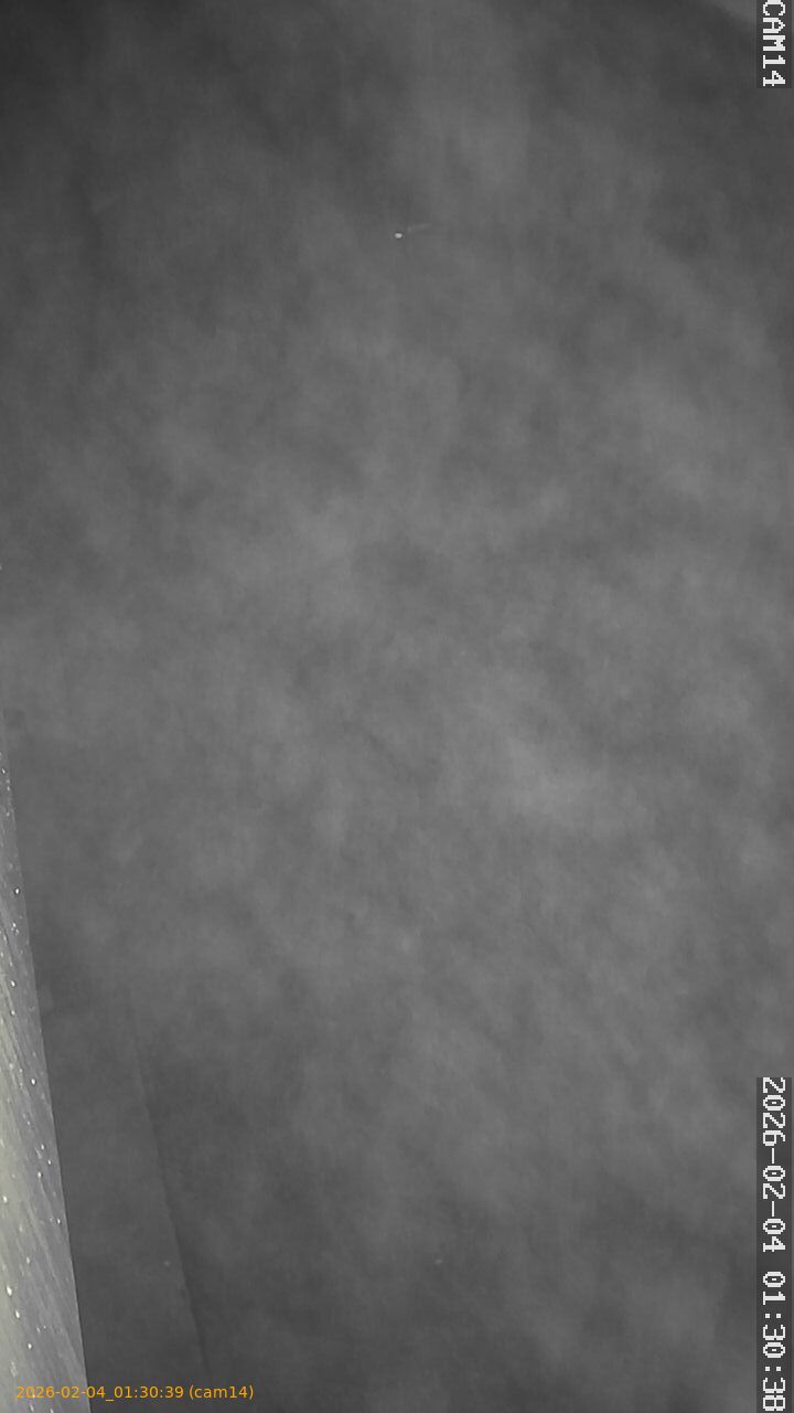 thumbnail_20260204013039