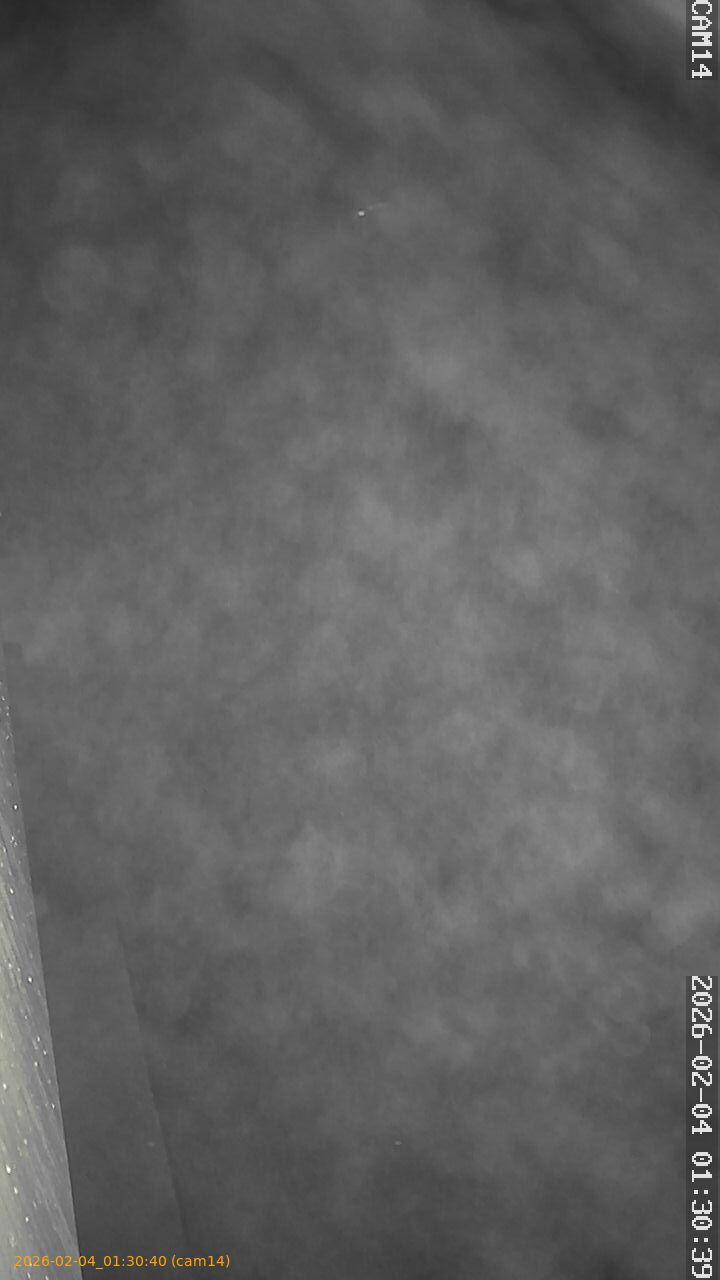 thumbnail_20260204013040