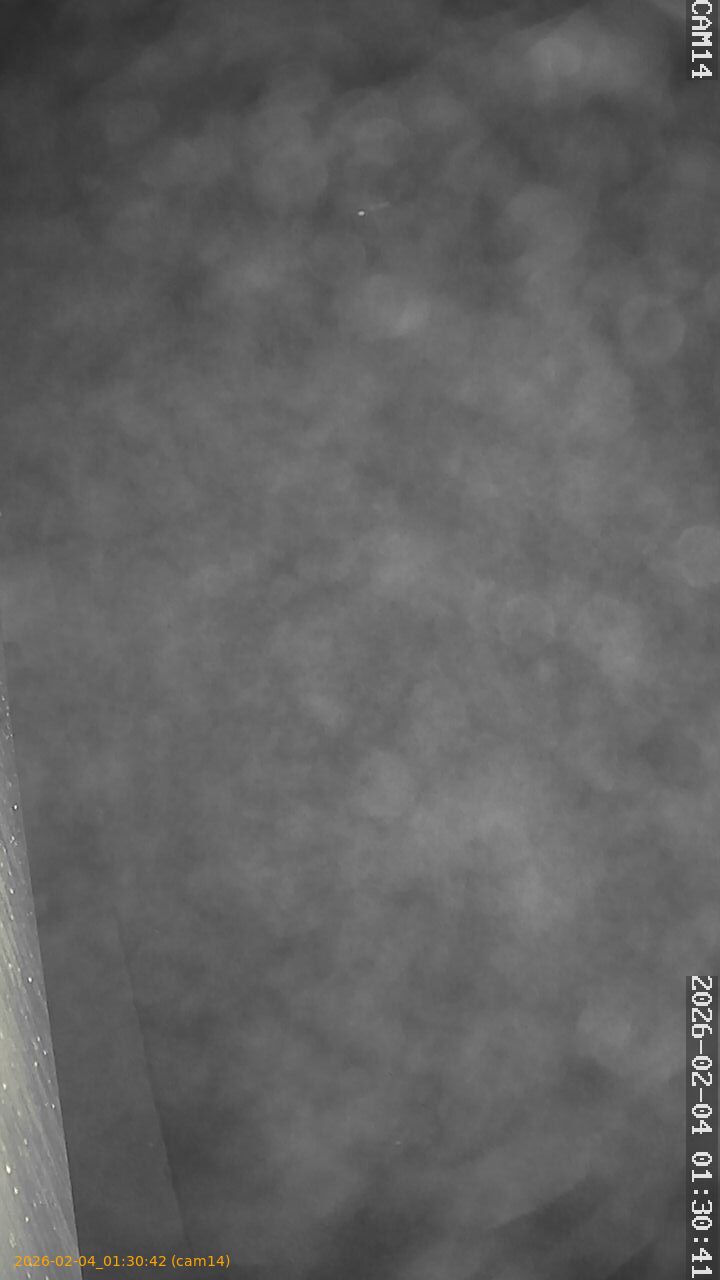 thumbnail_20260204013042