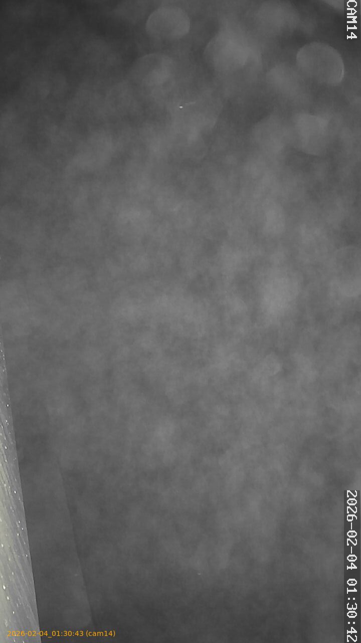 thumbnail_20260204013043