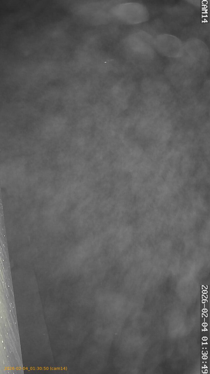 thumbnail_20260204013050