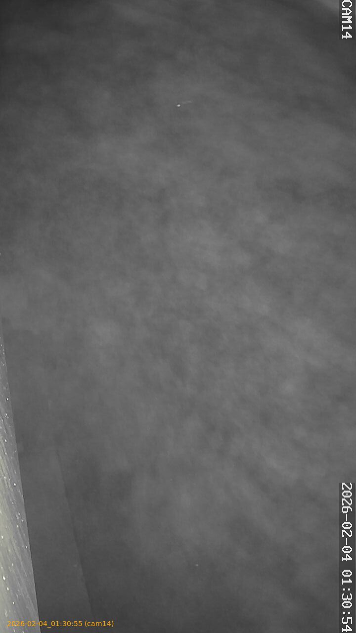 thumbnail_20260204013055