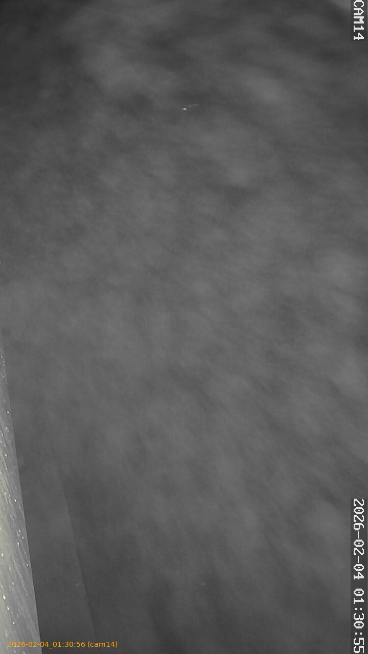 thumbnail_20260204013056