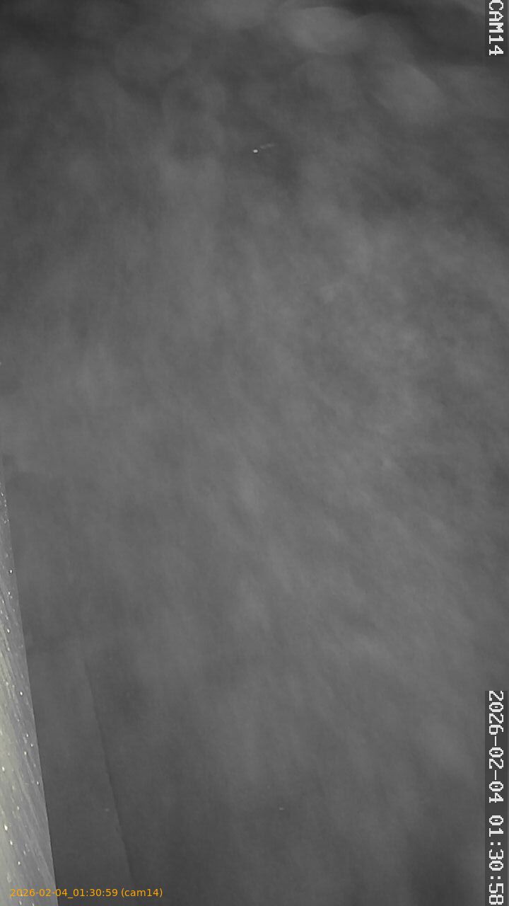 thumbnail_20260204013059