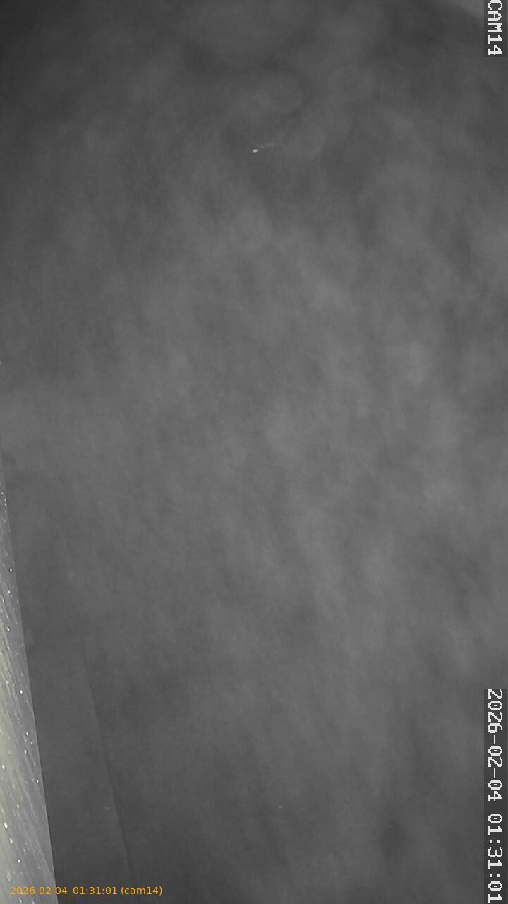 thumbnail_20260204013101