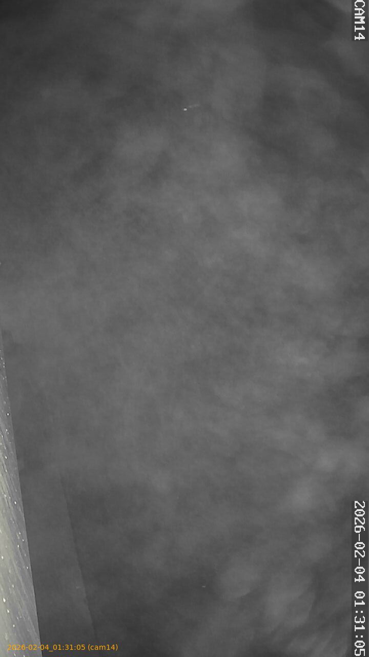 thumbnail_20260204013105