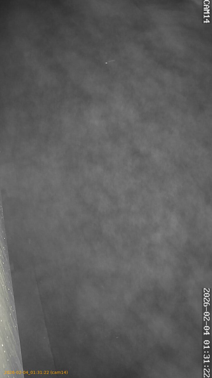 thumbnail_20260204013122