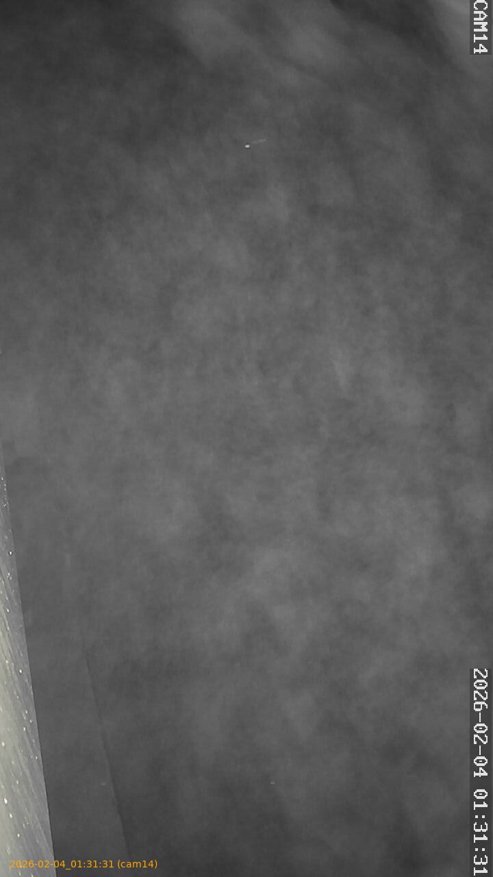 thumbnail_20260204013131