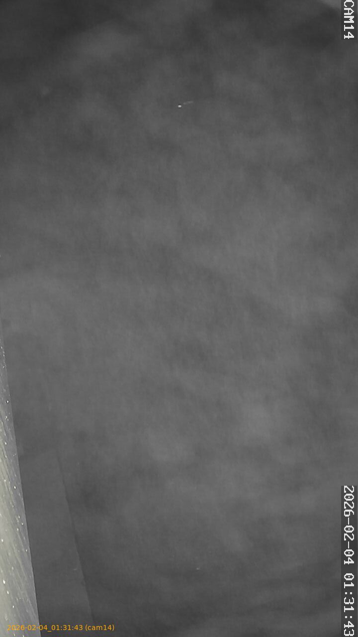 thumbnail_20260204013143