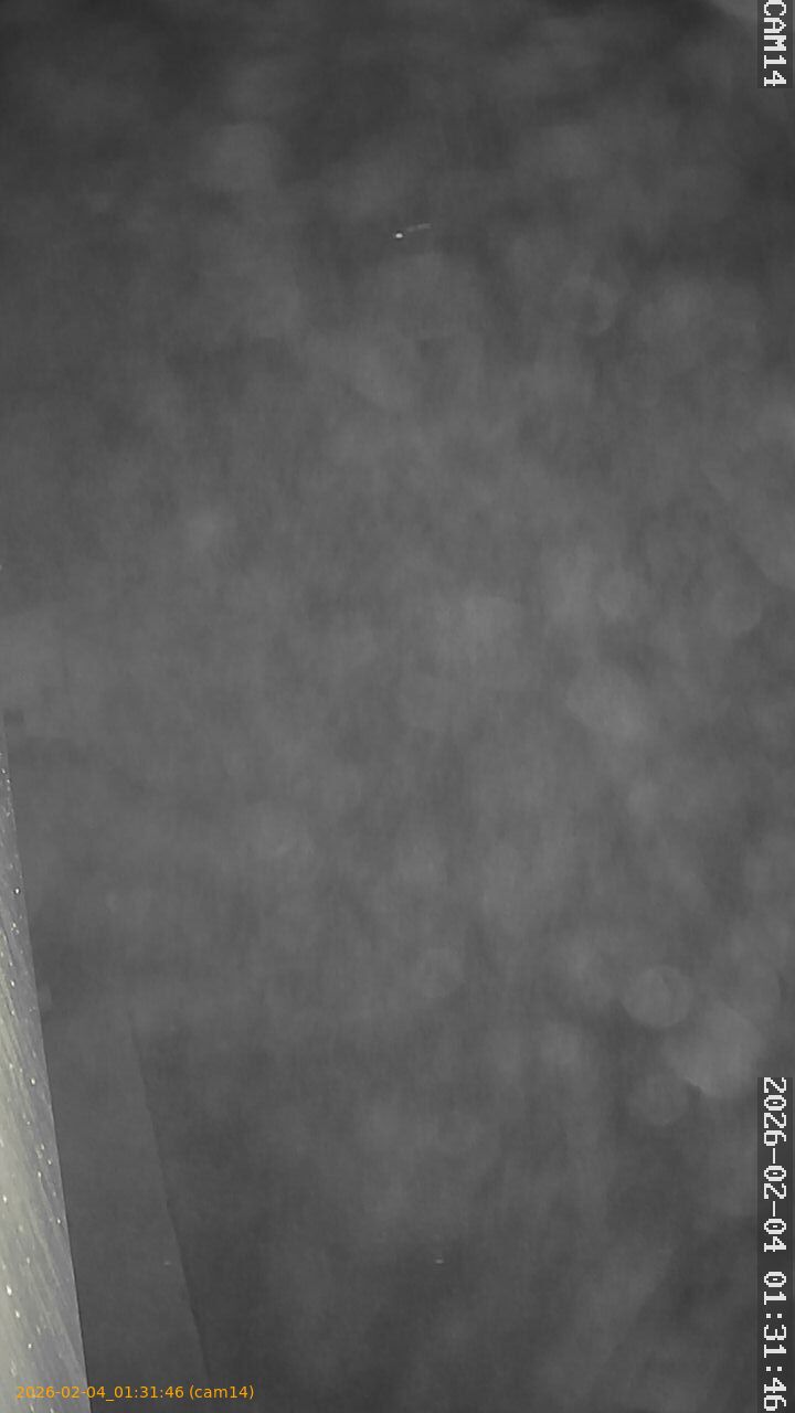 thumbnail_20260204013146