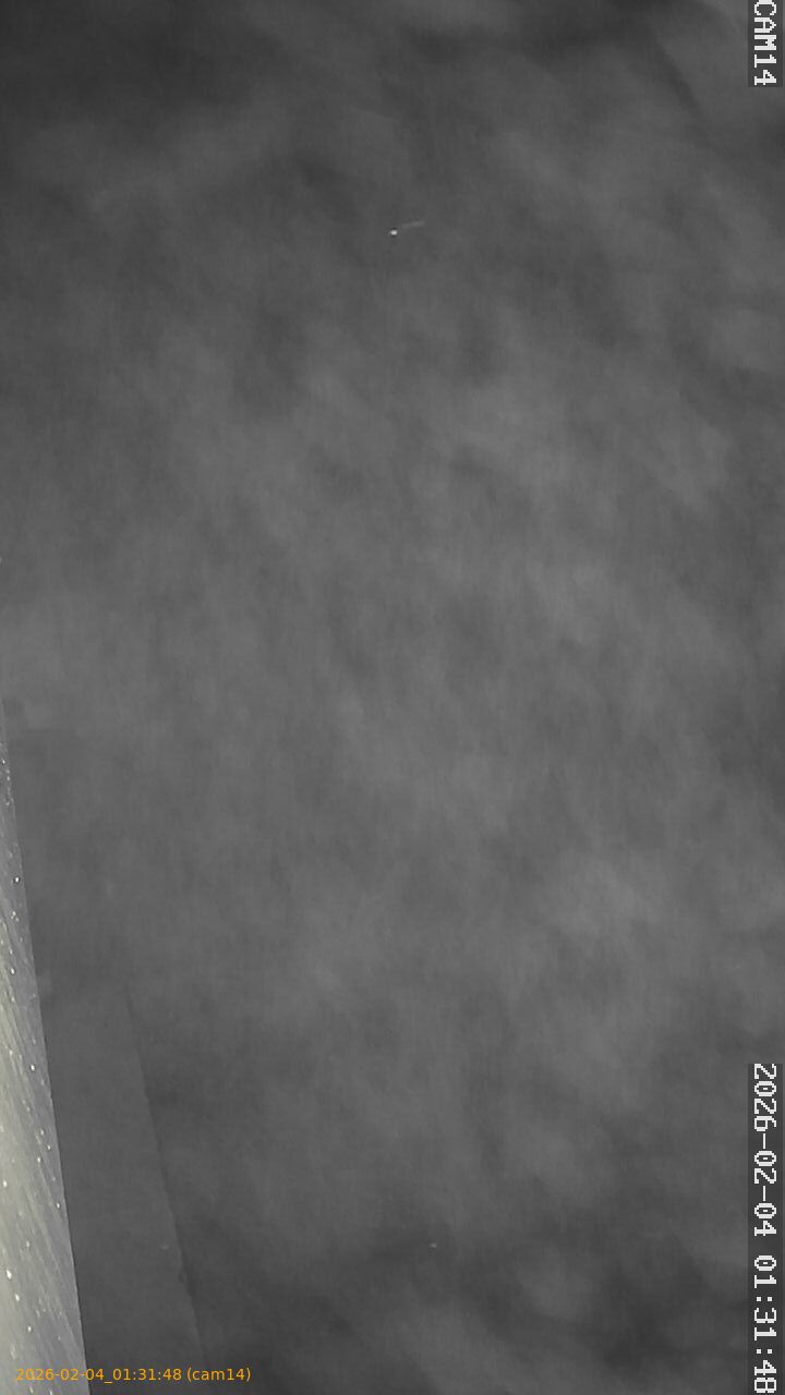 thumbnail_20260204013148