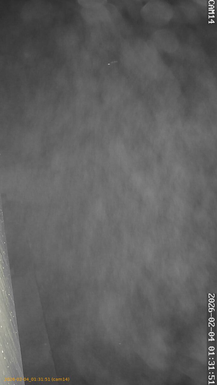 thumbnail_20260204013151