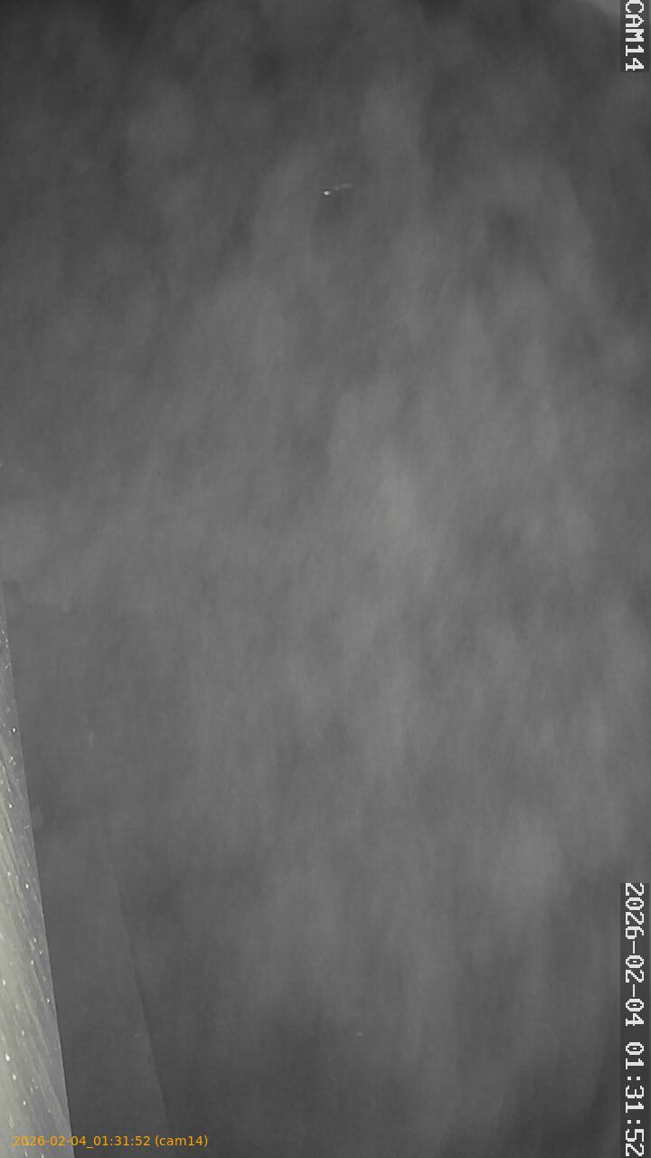 thumbnail_20260204013152