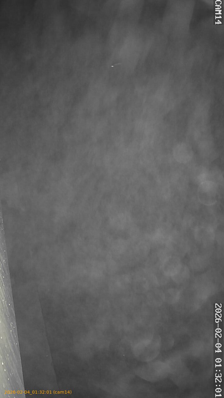 thumbnail_20260204013201