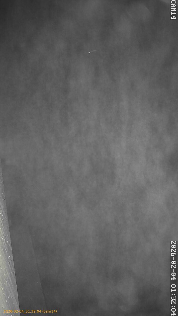 thumbnail_20260204013204