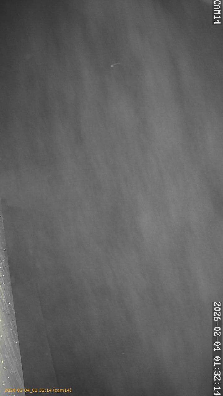 thumbnail_20260204013214