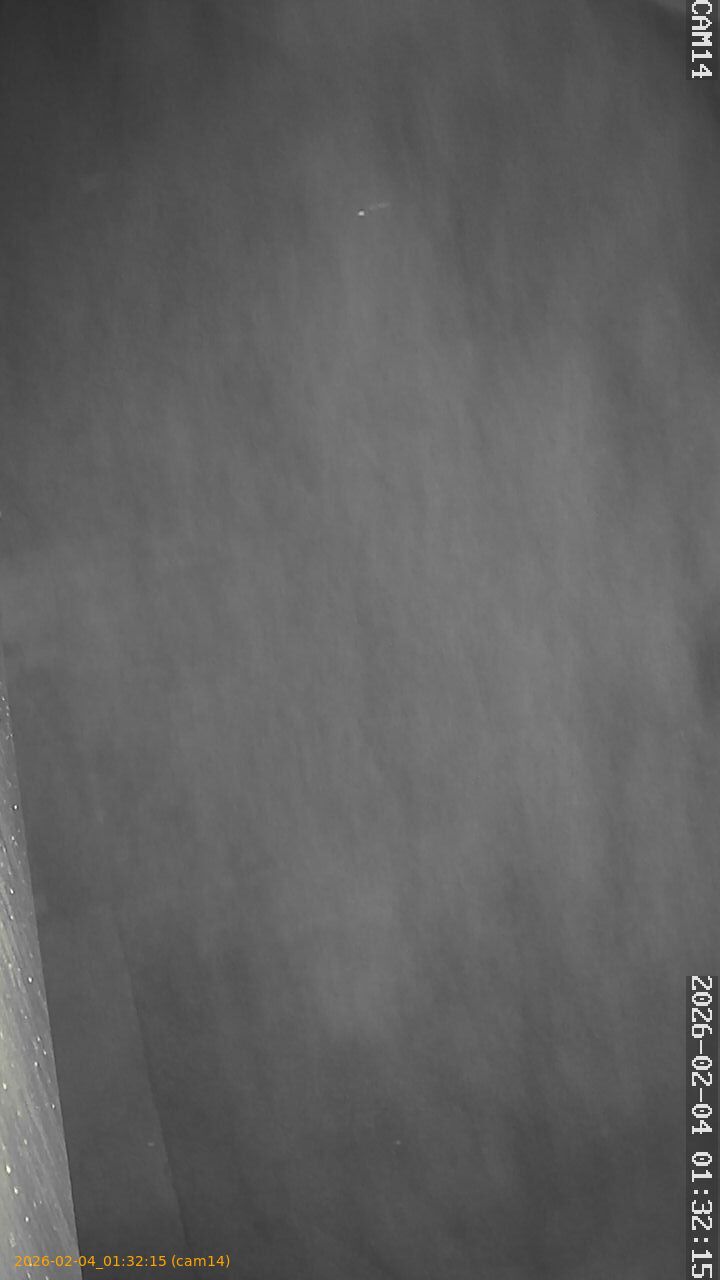 thumbnail_20260204013215