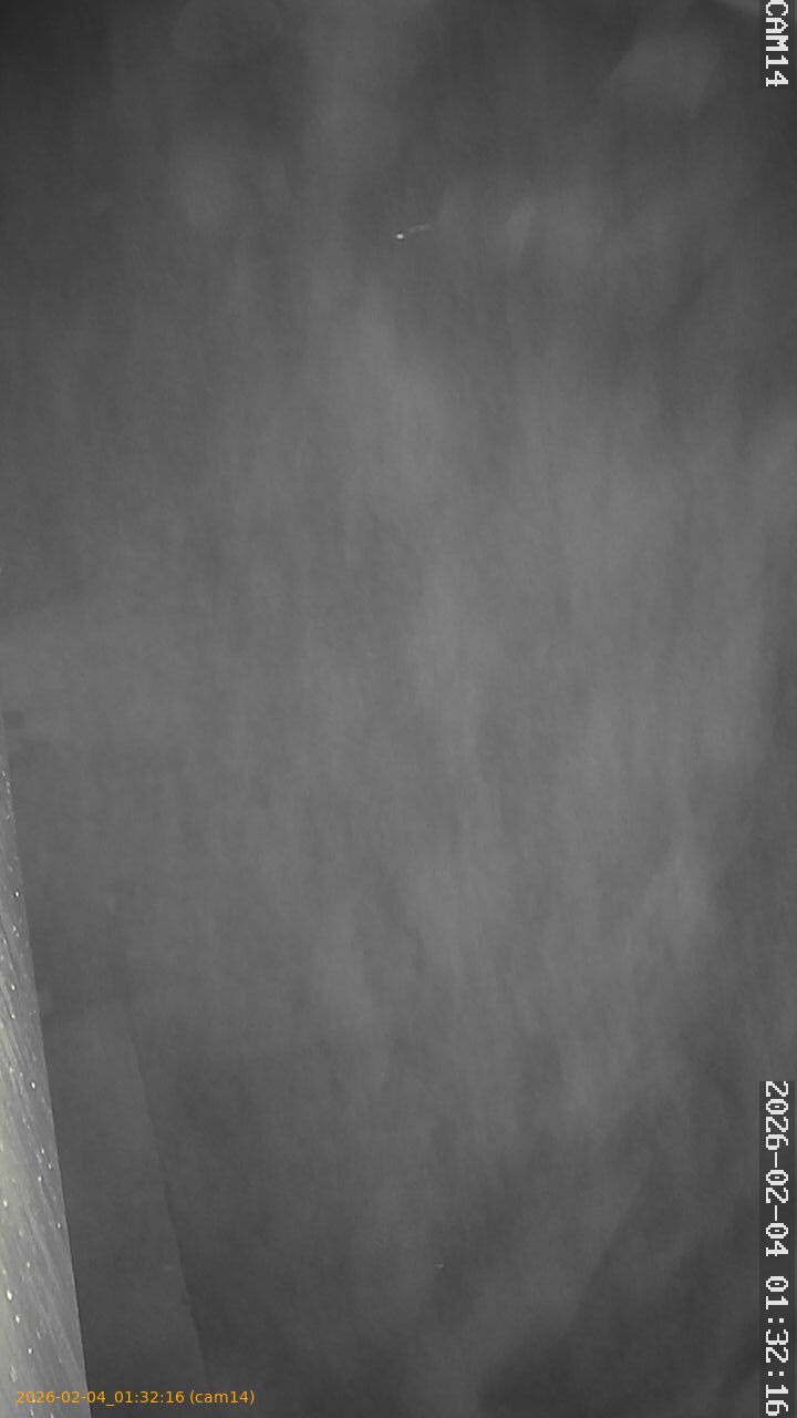 thumbnail_20260204013216