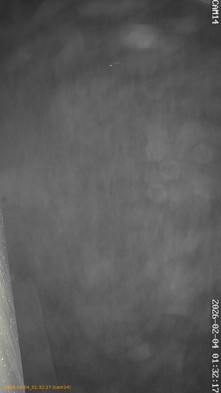 thumbnail_20260204013217