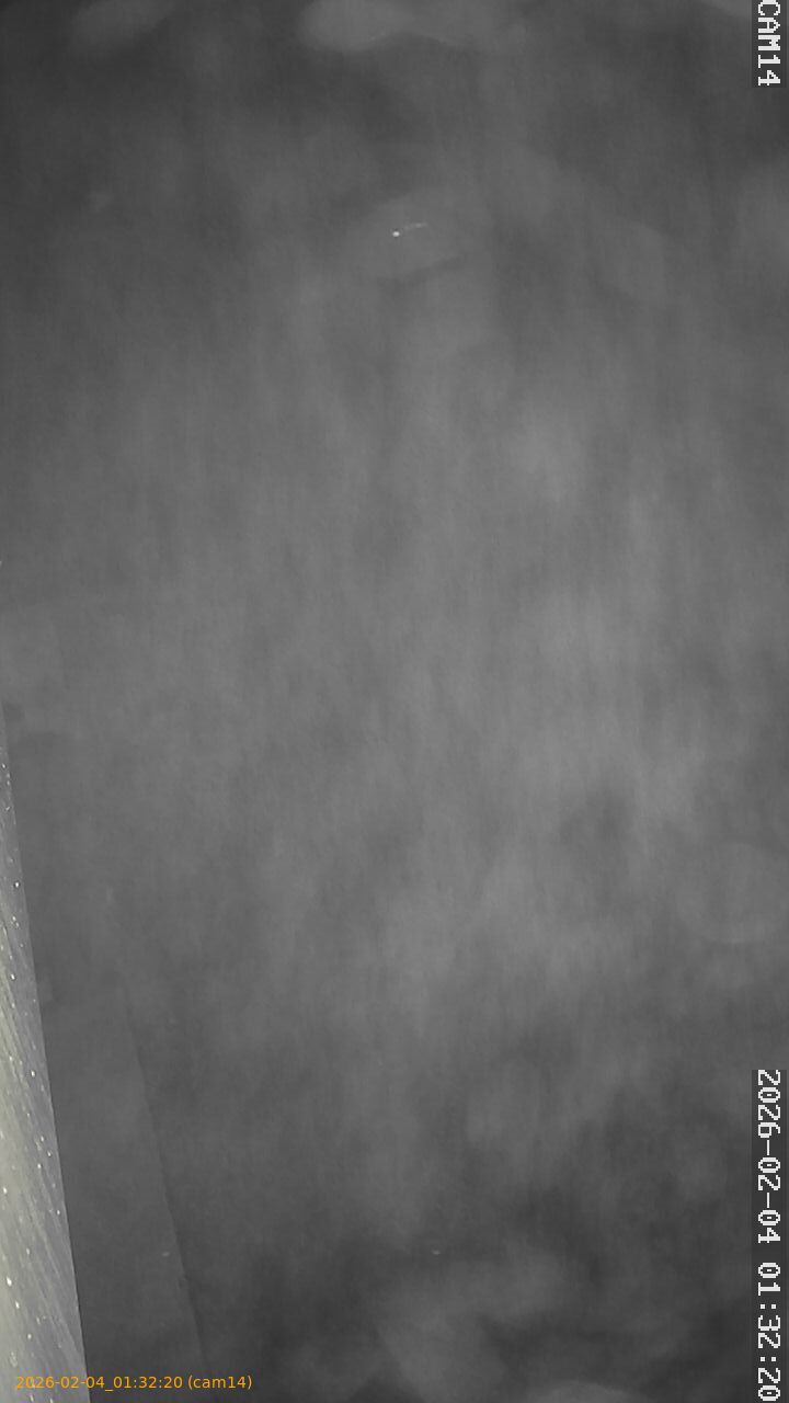 thumbnail_20260204013220