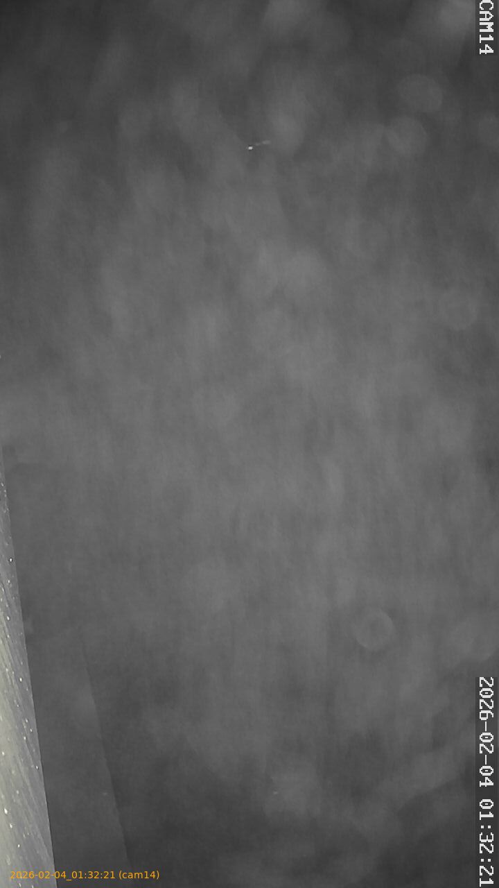 thumbnail_20260204013221