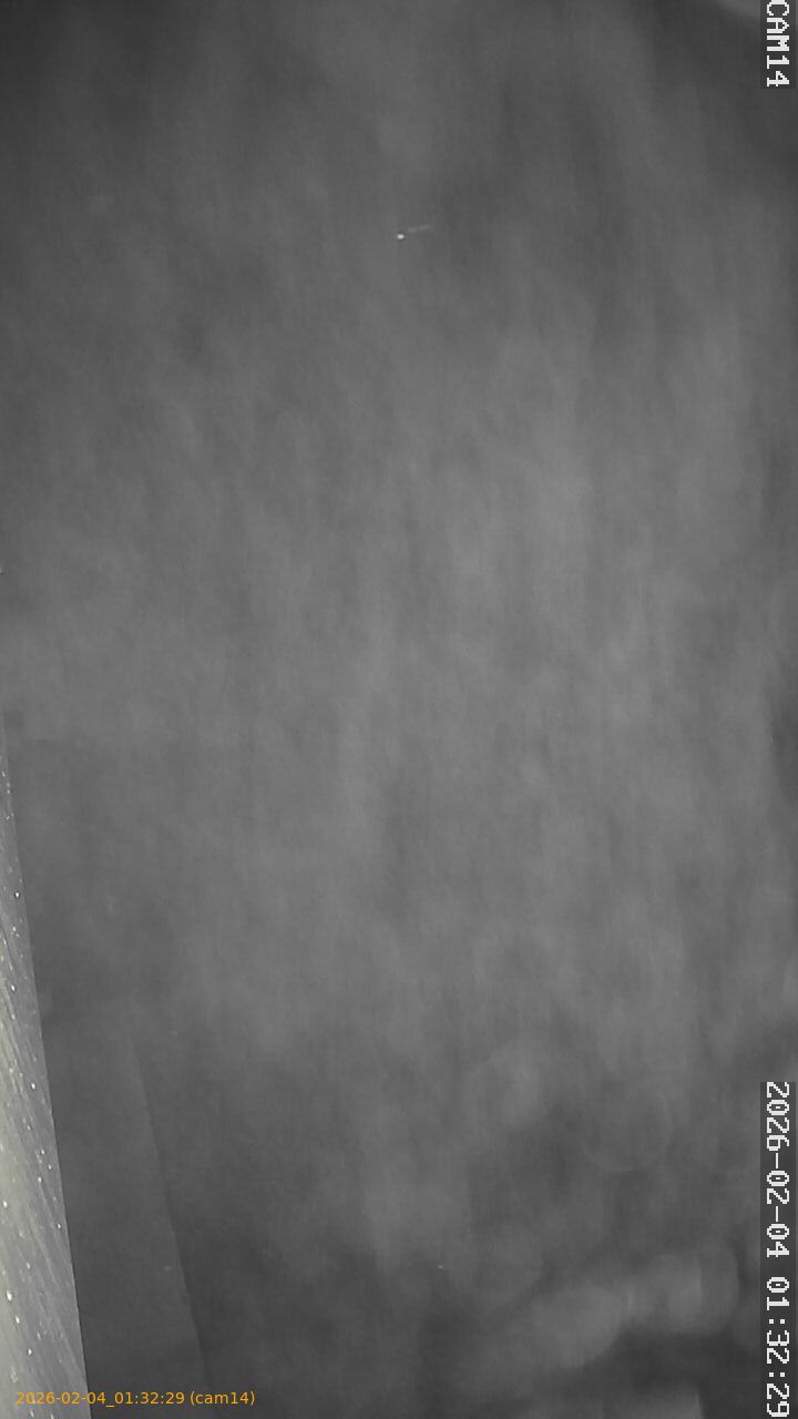 thumbnail_20260204013229