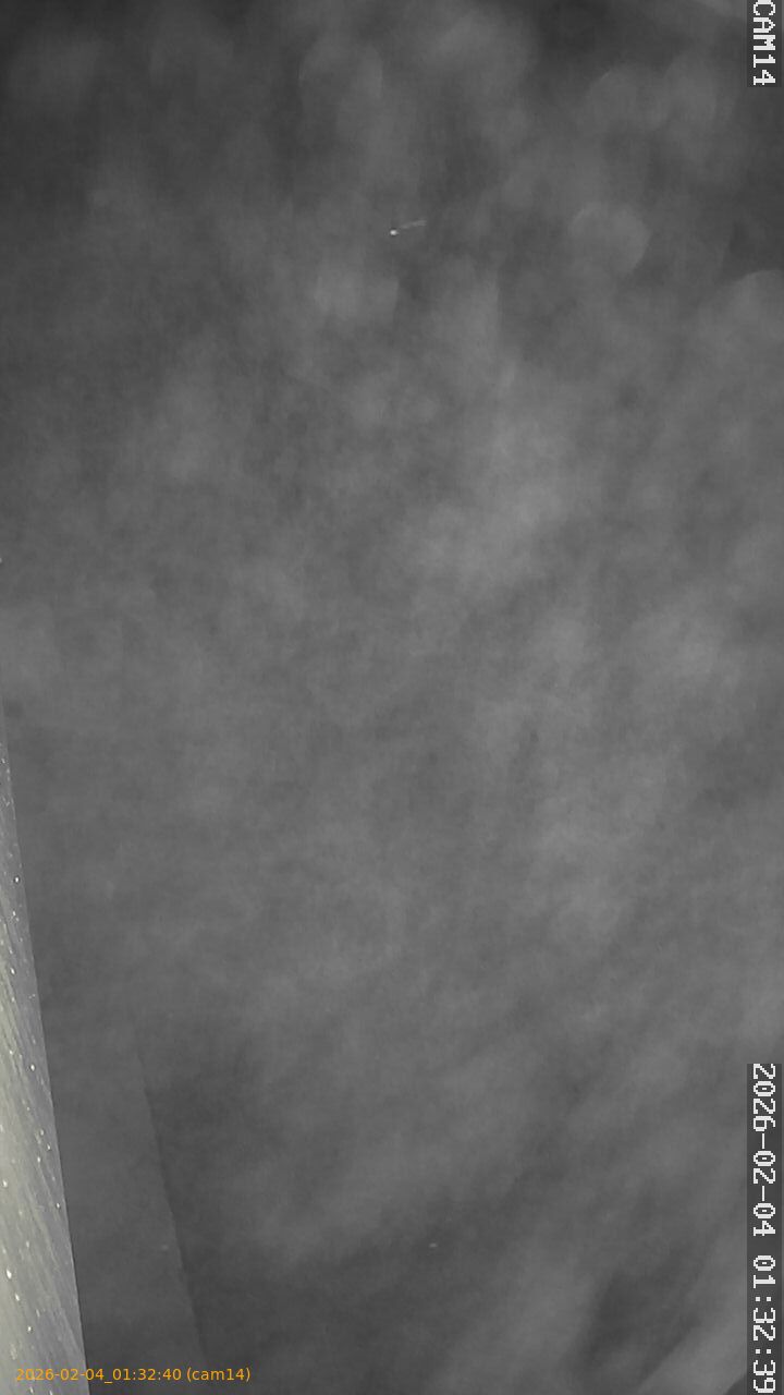 thumbnail_20260204013240