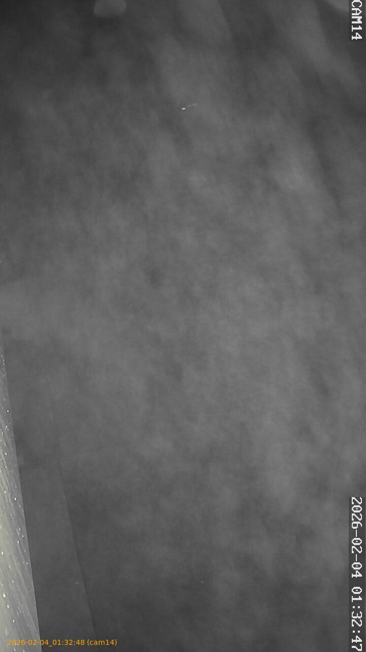 thumbnail_20260204013248