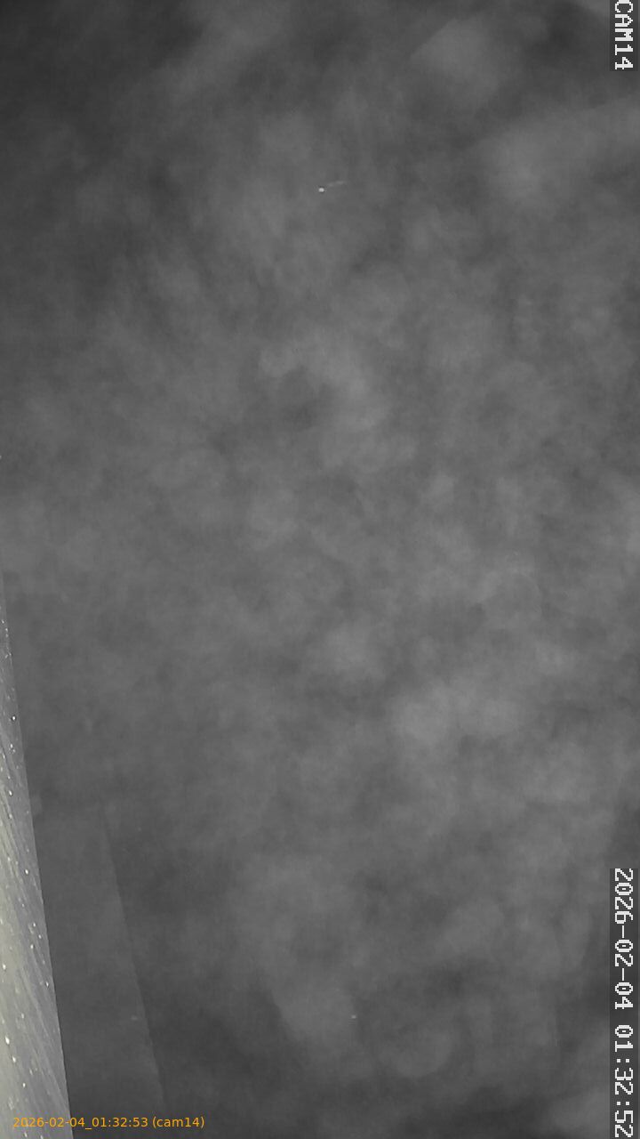 thumbnail_20260204013253