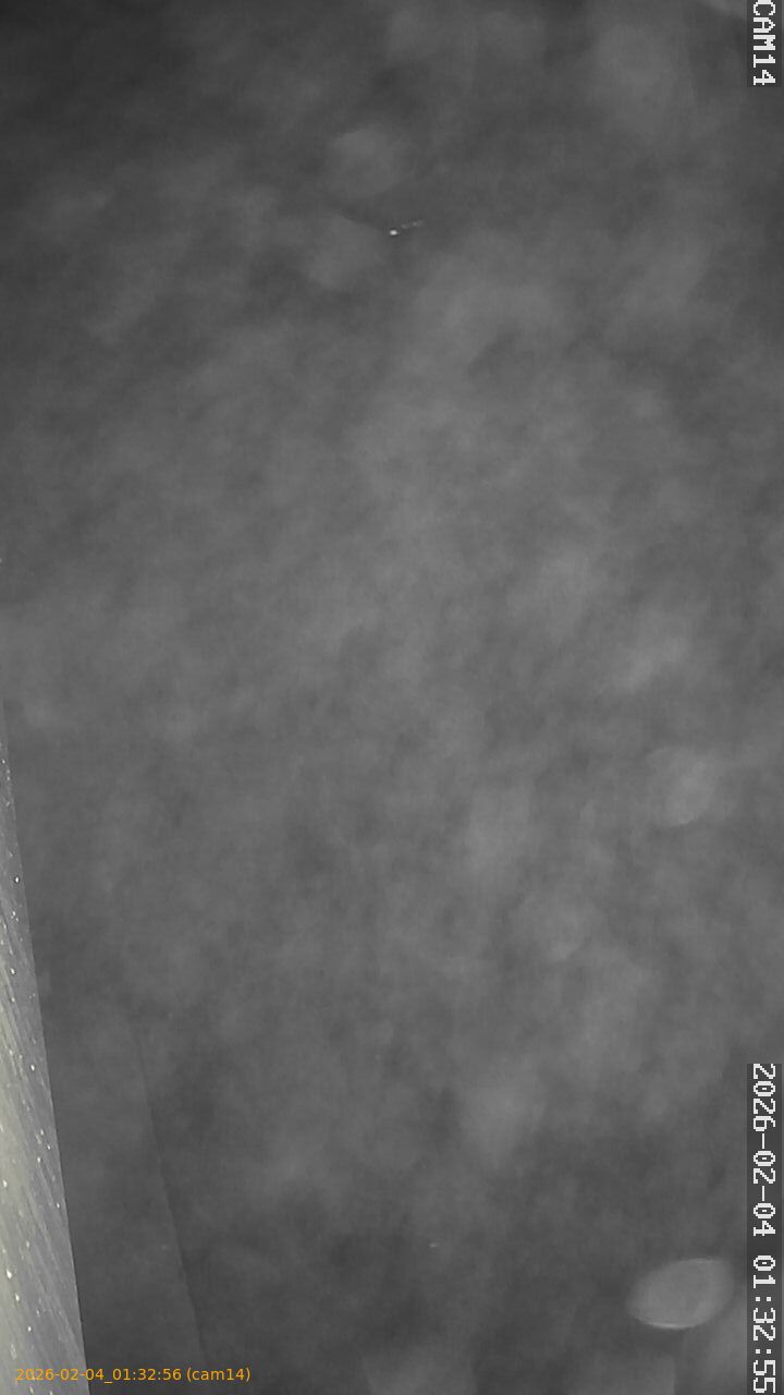 thumbnail_20260204013256