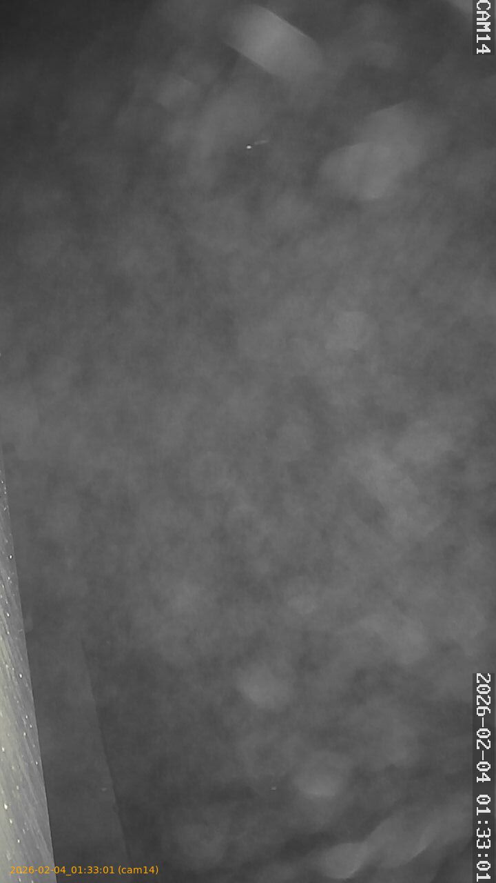 thumbnail_20260204013301