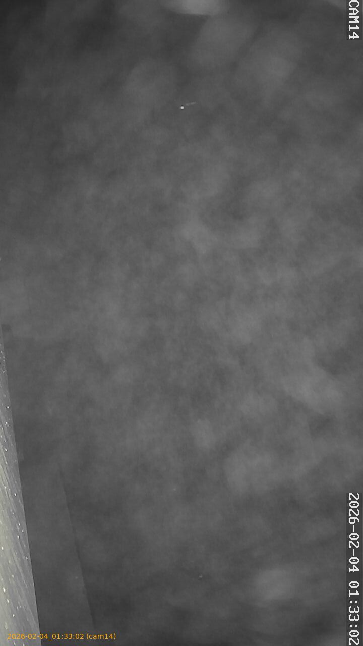 thumbnail_20260204013302