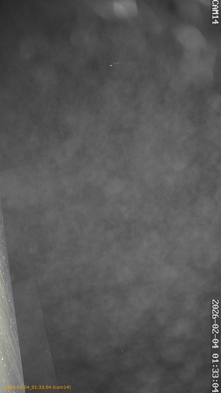 thumbnail_20260204013304