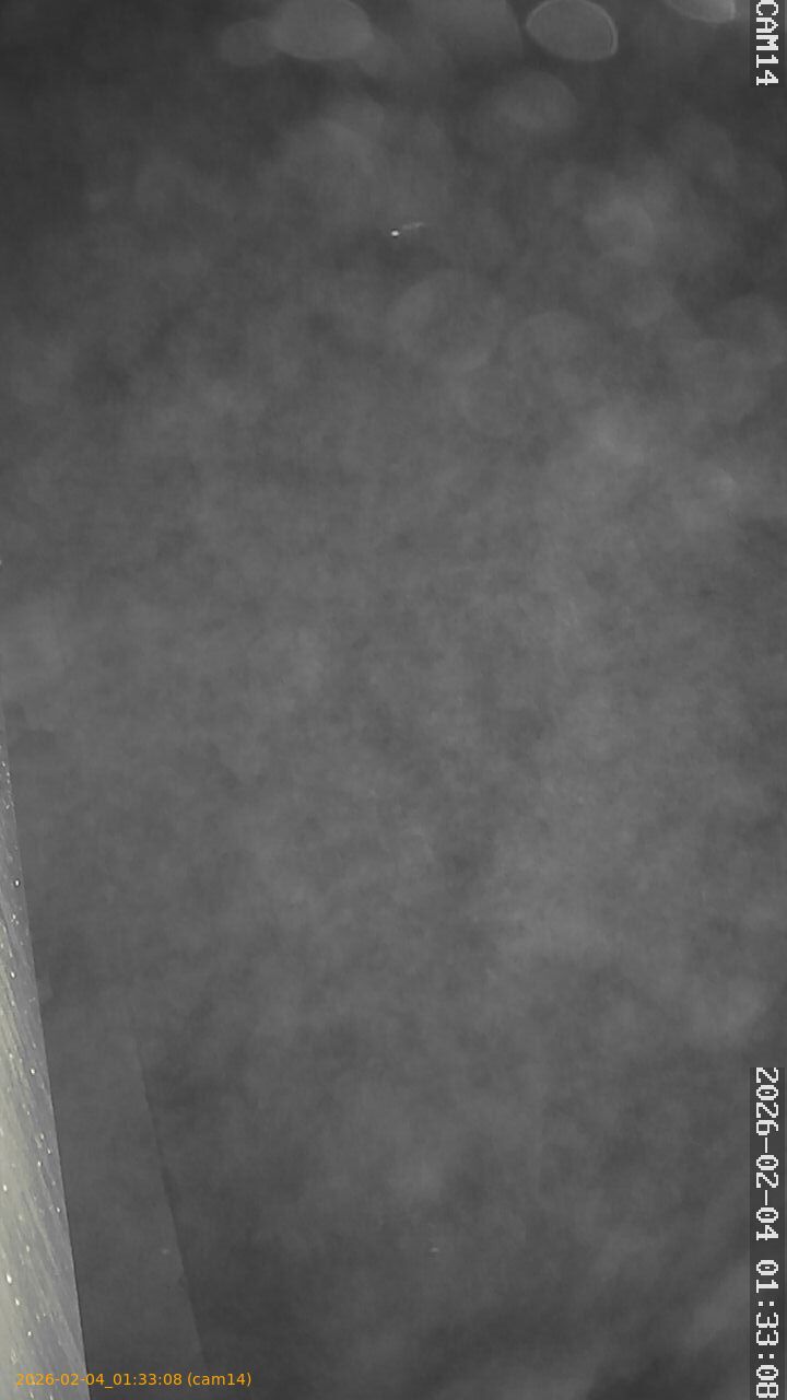 thumbnail_20260204013308