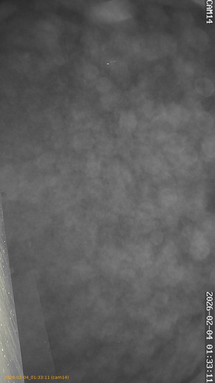 thumbnail_20260204013311