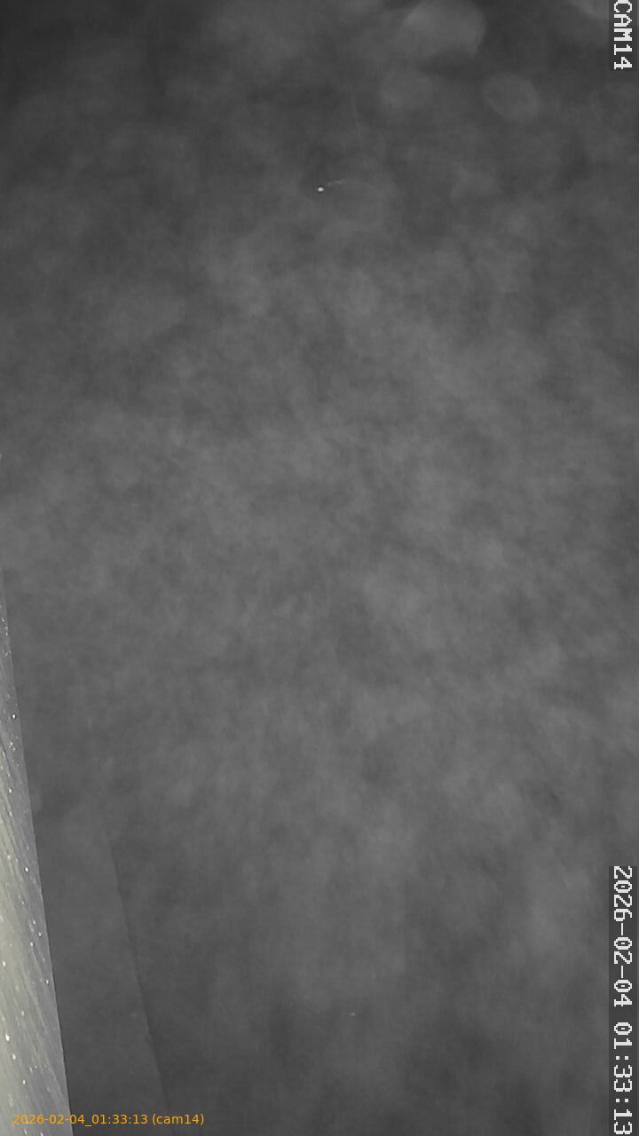 thumbnail_20260204013313