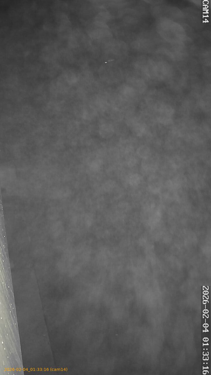 thumbnail_20260204013316