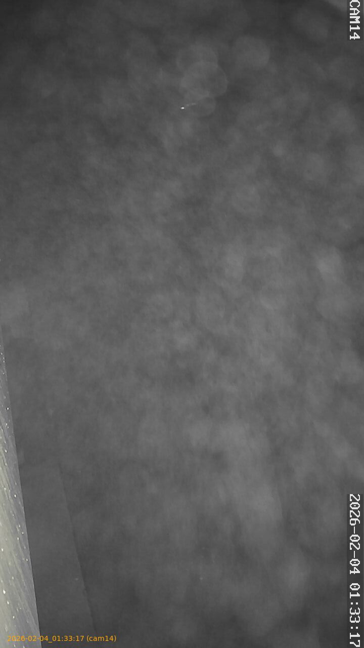 thumbnail_20260204013317