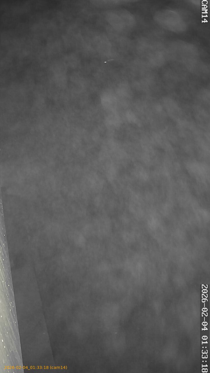 thumbnail_20260204013318